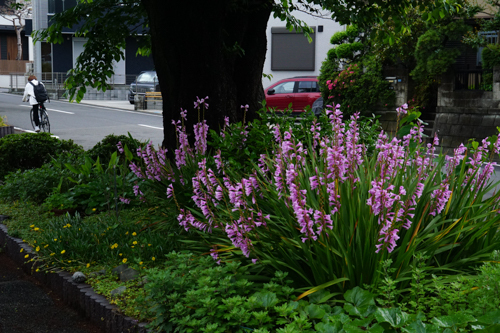 DSC00354.jpg