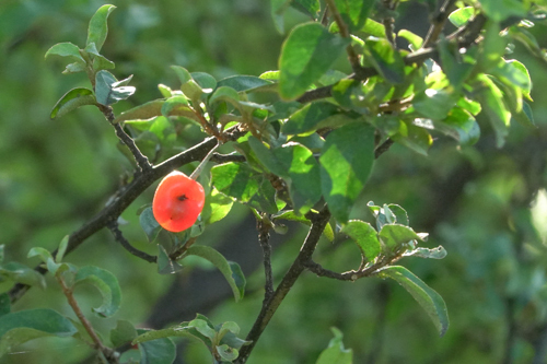 DSC00675.jpg