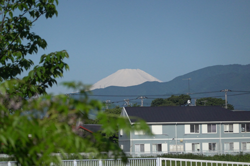 DSC00694.jpg