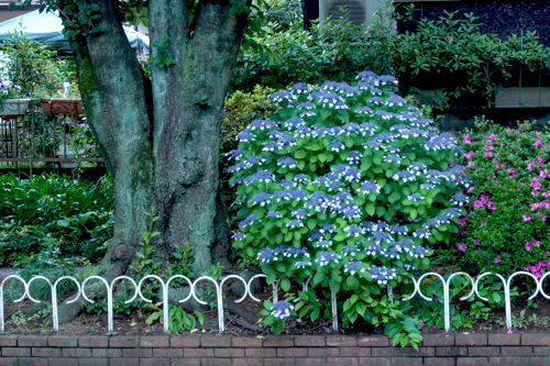DSC01035.jpg