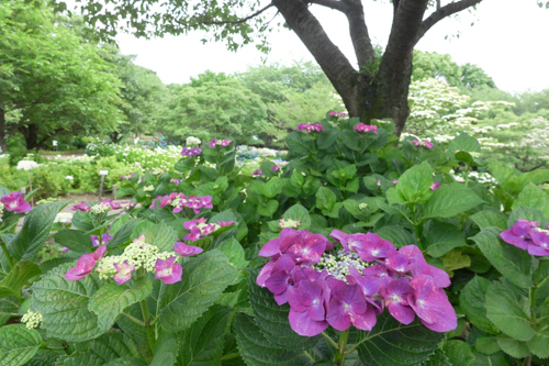 DSC01112.jpg