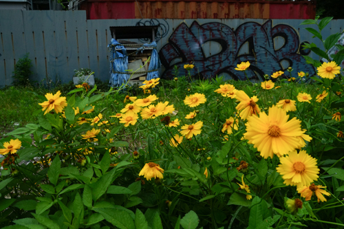 DSC01140.jpg