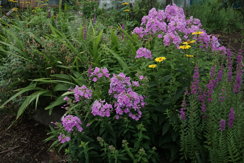 DSC01392.jpg