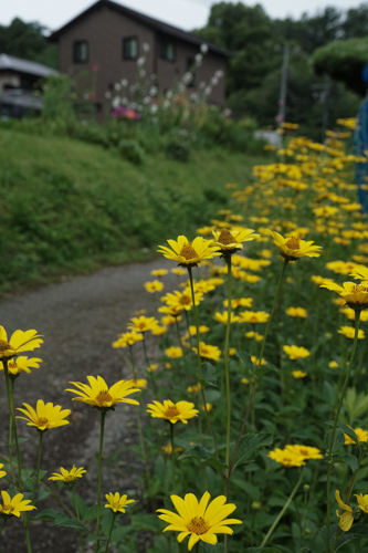 DSC01404.jpg