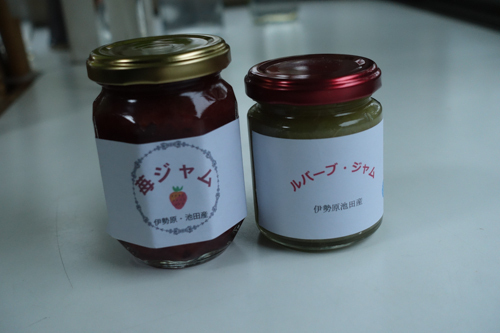 DSC01672.jpg