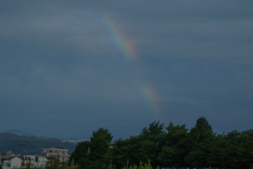 DSC02510.jpg