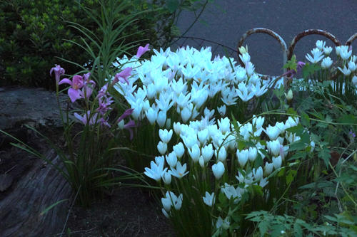 DSC03144.jpg