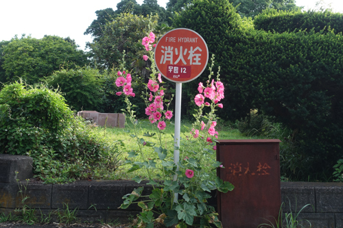 DSC04377.jpg