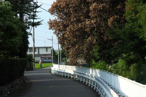 DSC06541.jpg