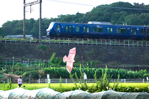 DSC06732.jpg