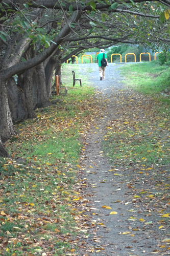 DSC06736.jpg