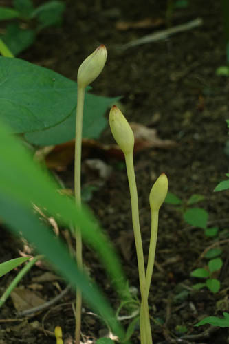 DSC06897.jpg