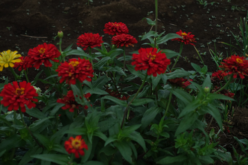 DSC07848.jpg