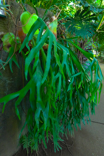 DSC07852.jpg