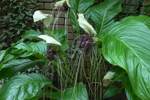 DSC07886.jpg