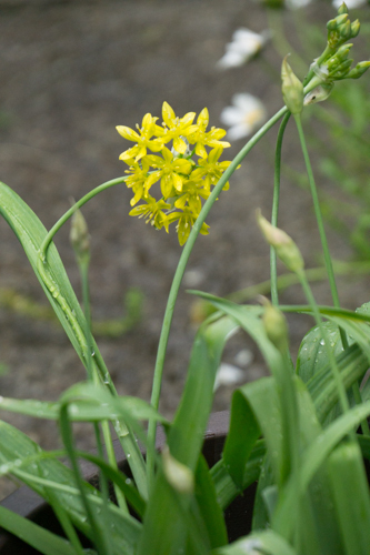 DSC08052.jpg