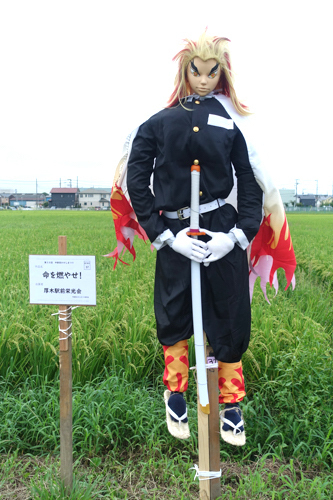 DSC08100.jpg