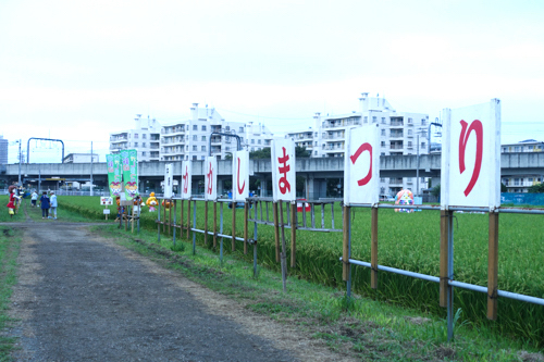 DSC08141.jpg