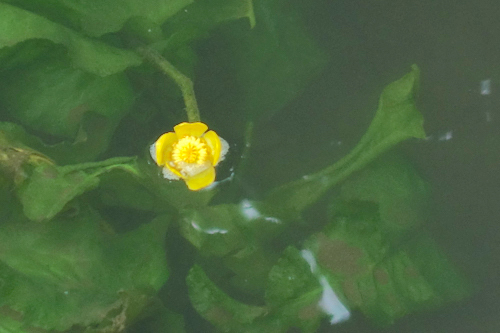 DSC08188.jpg