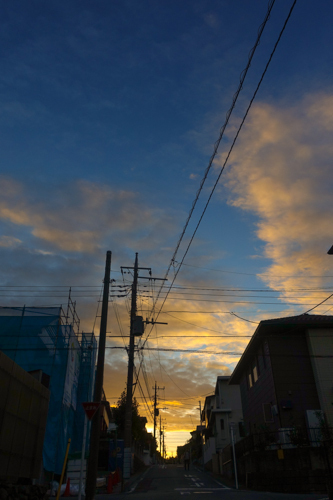 DSC08243.jpg