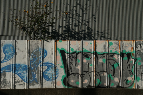 DSC08648.jpg