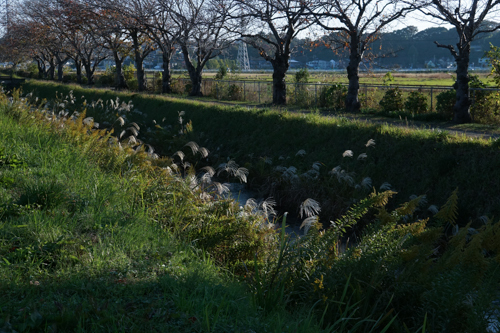 DSC09154.jpg