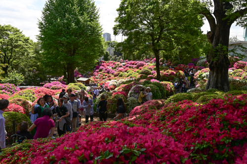 DSC_1700.jpg