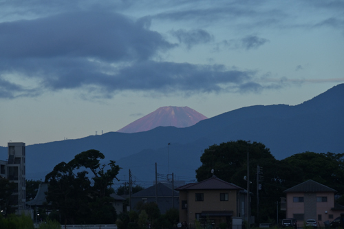 DSC_2670.jpg