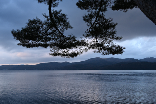 DSC_2780.jpg