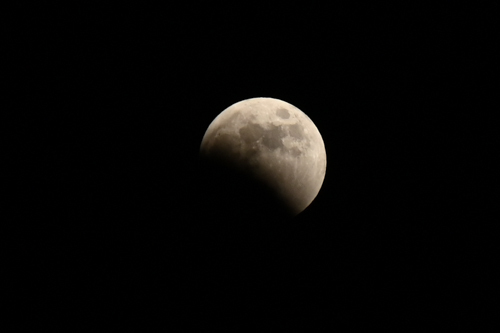 DSC_2833.jpg