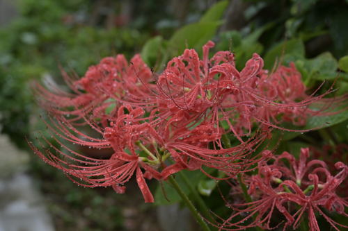 DSC_2841.jpg