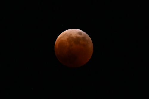 DSC_2881.jpg