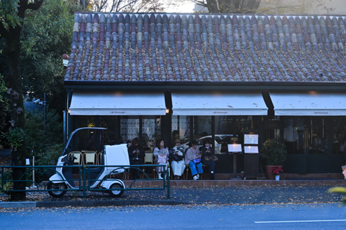 DSC_4120.jpg