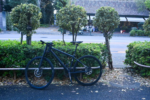 DSC_4121.jpg