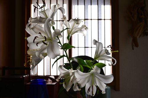 DSC_6206-2.jpg