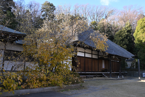 DSC_9356.jpg