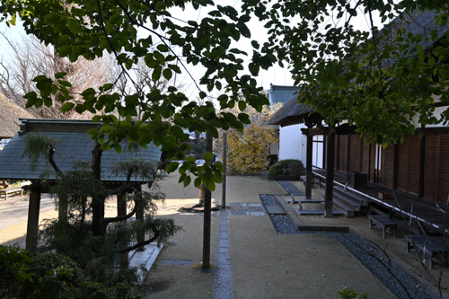 DSC_9358.jpg