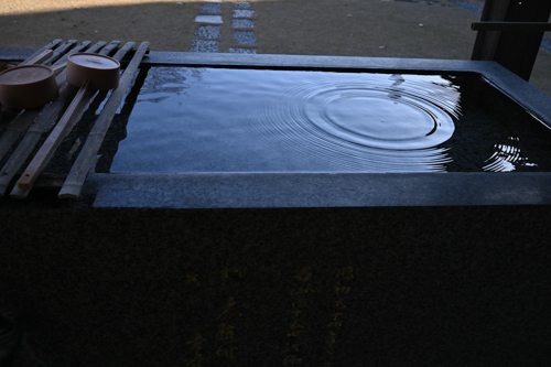 DSC_9367.jpg