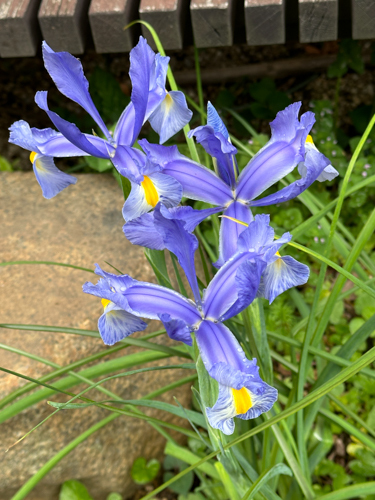 IMG_2876.jpg