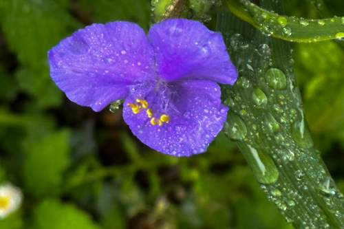 IMG_3562.jpg