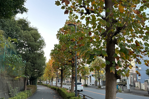 IMG_7229.jpg
