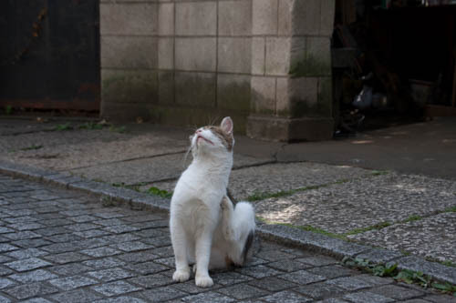IMG_7349.jpg
