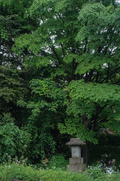 DSC02921.jpg