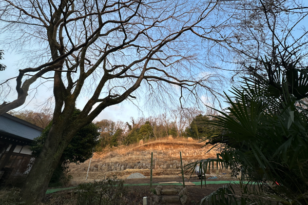 IMG_9947.jpg
